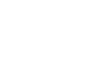 The Block Party Festival Logo