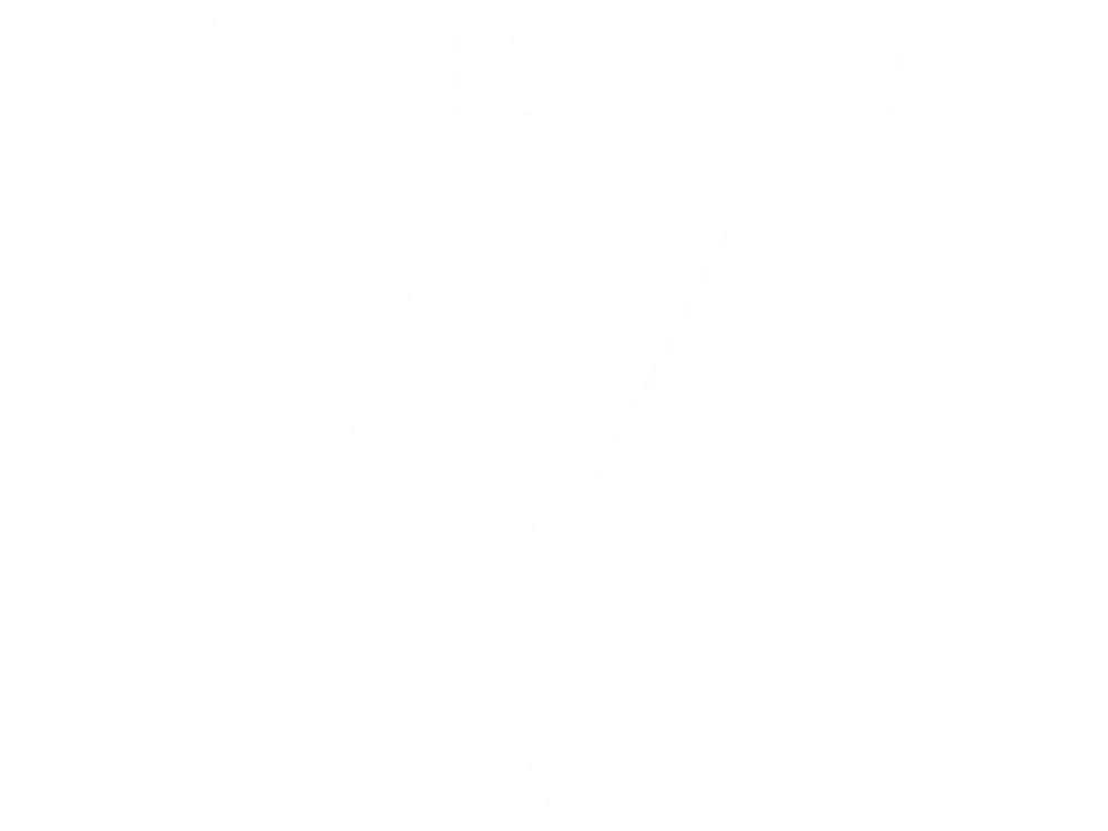 Terminal V Street Team Logo