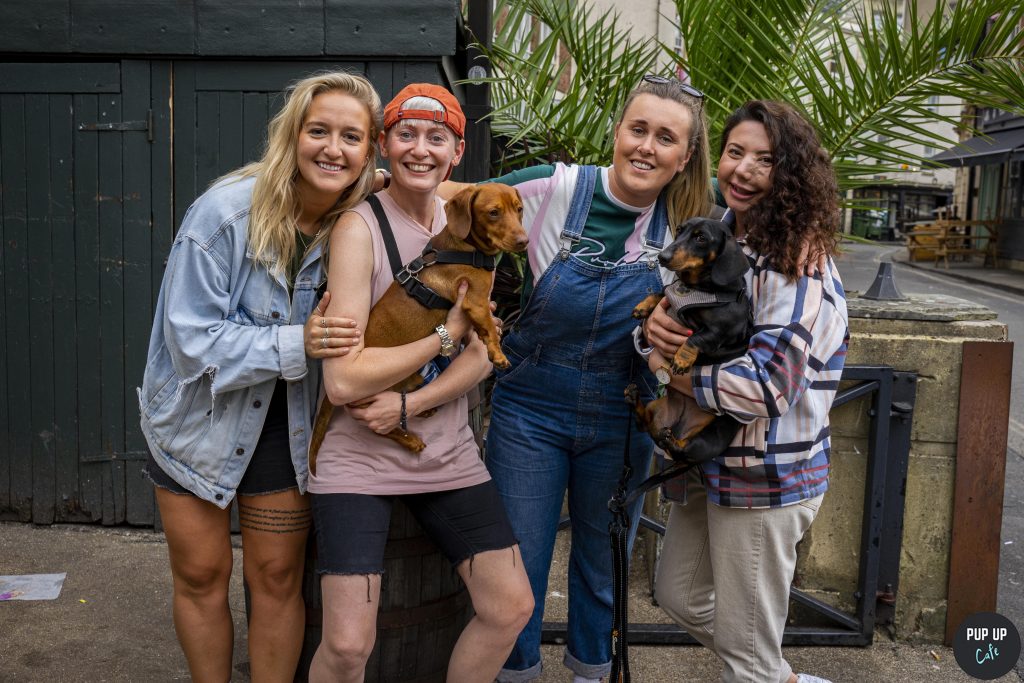 Pup Up Cafe Pop up dog cafe full of Dachshunds, Pugs & Doodles set to