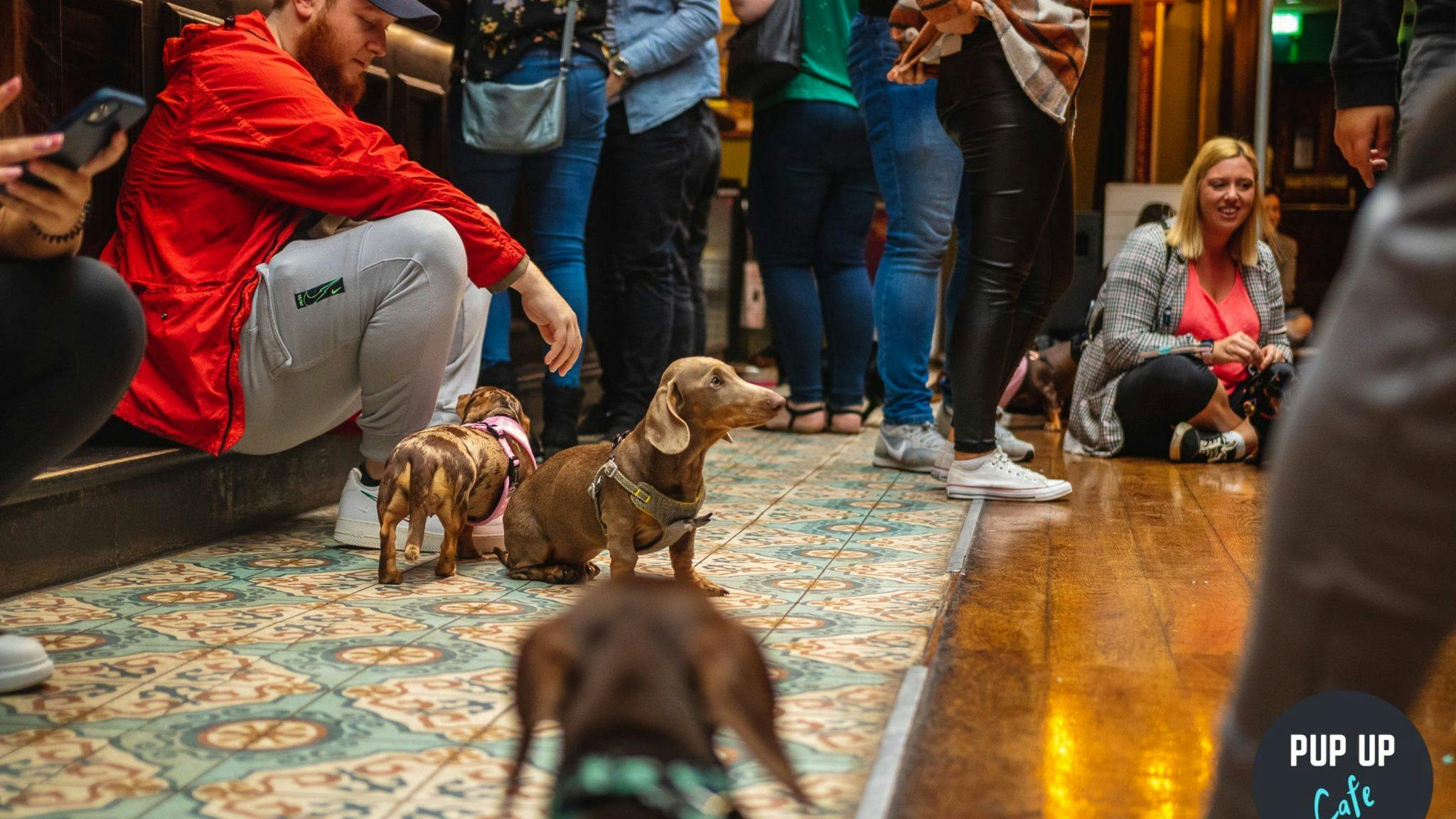 The Pup Up Cafe is back in Leeds this weekend!