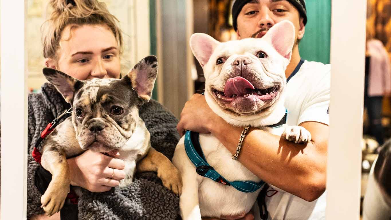 Frenchie and Pug ‘Pup-Up’ Cafe coming to Milton Keynes