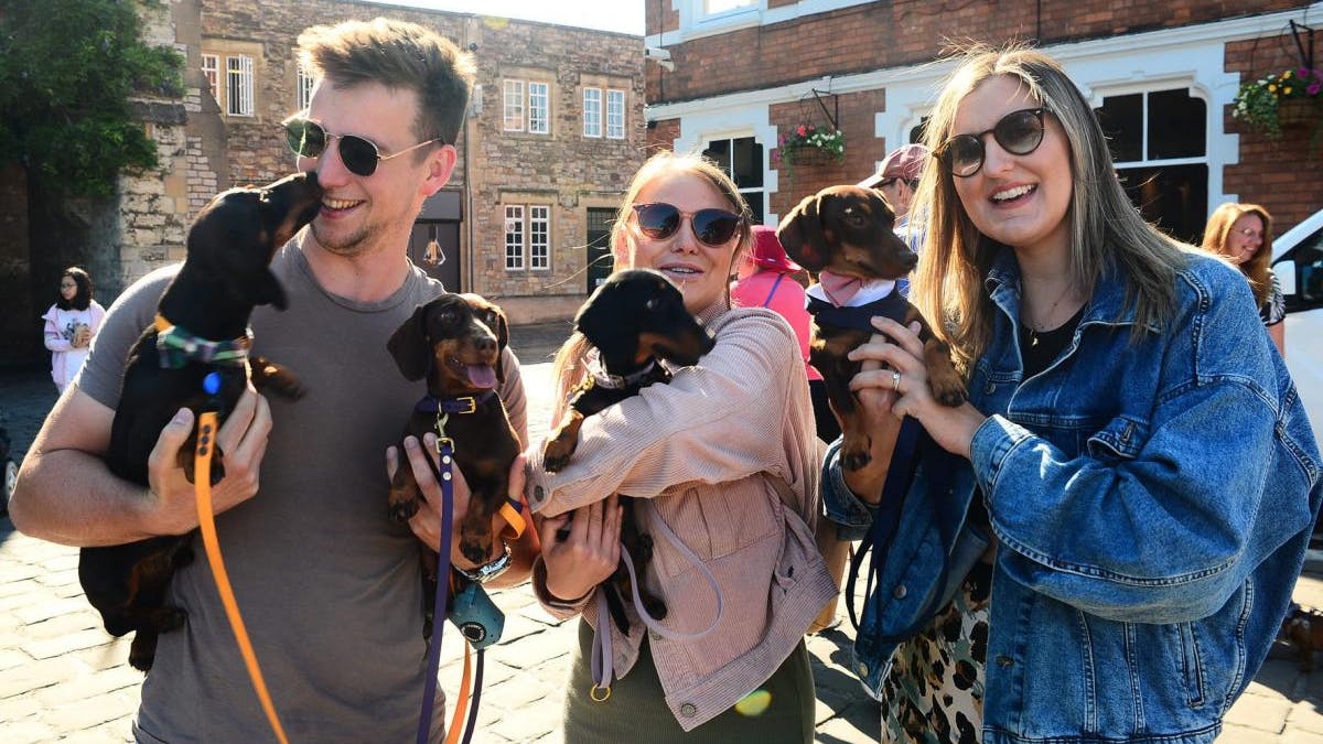 Pup Up Cafe brings sausage dogs to The Hideout in Taunton