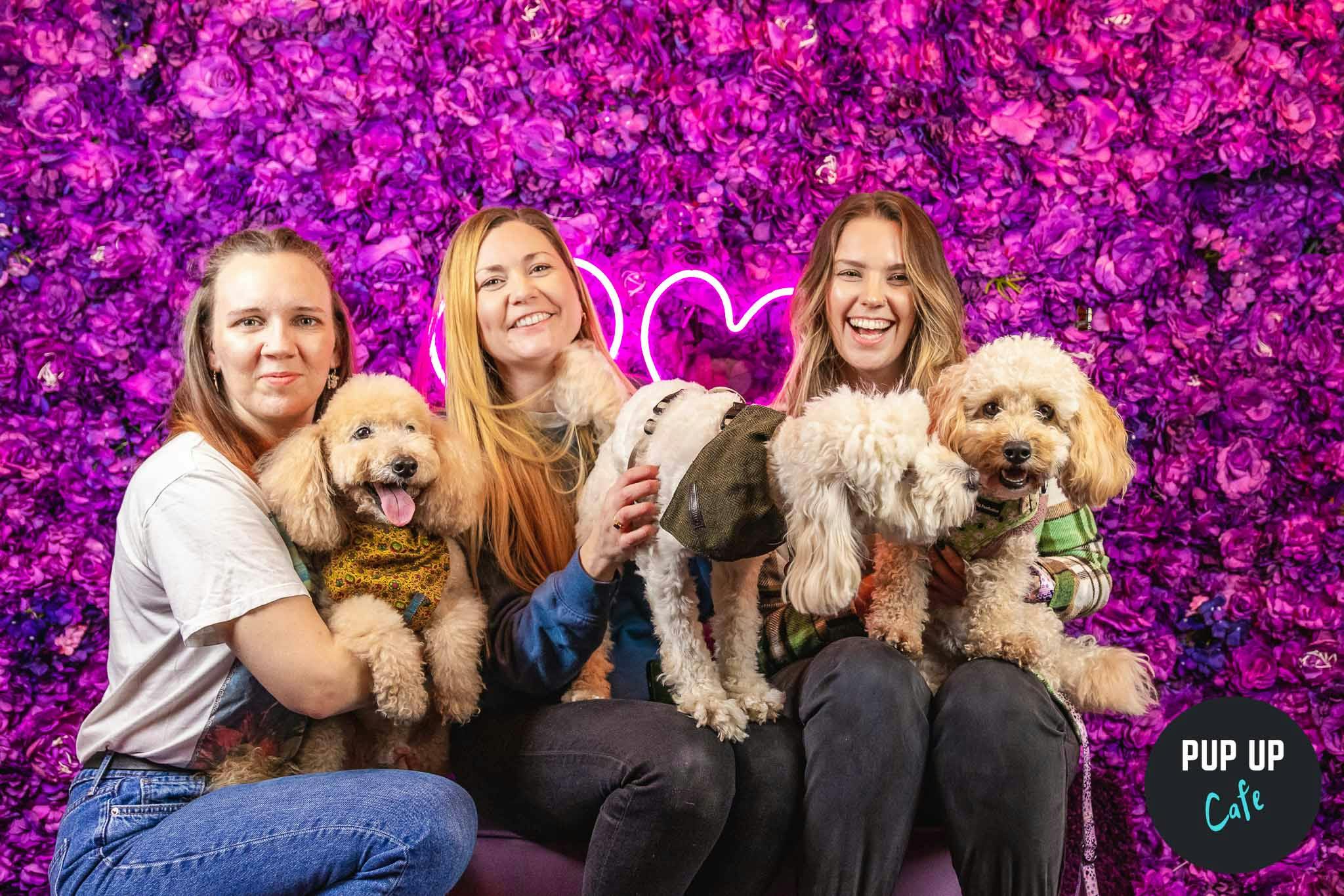 Pop-up dog cafe coming to Edinburgh with sessions for dachshunds, pugs and frenchies & doodles!
