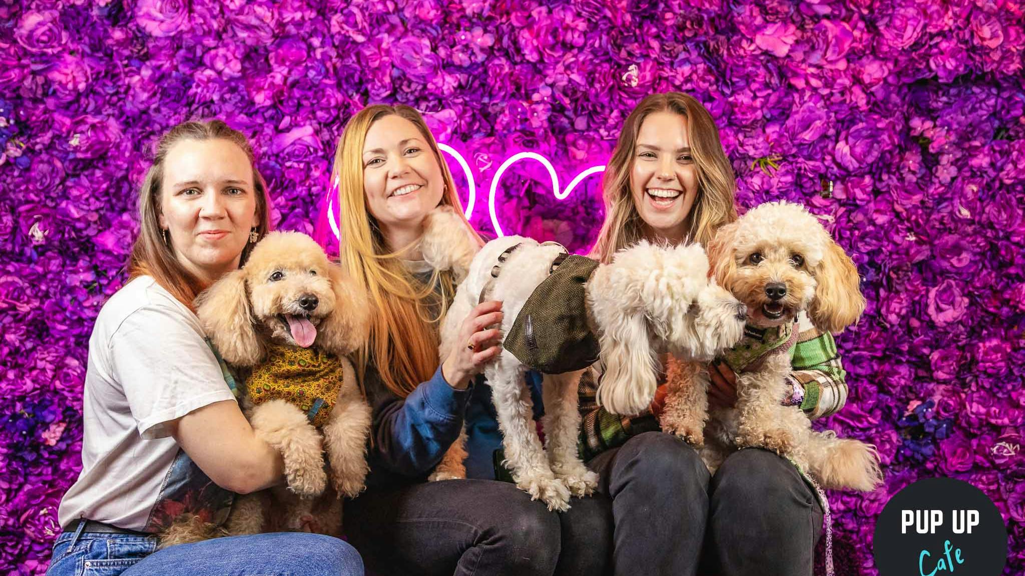 Pop-up dog cafe coming to Edinburgh with sessions for dachshunds, pugs and frenchies & doodles!