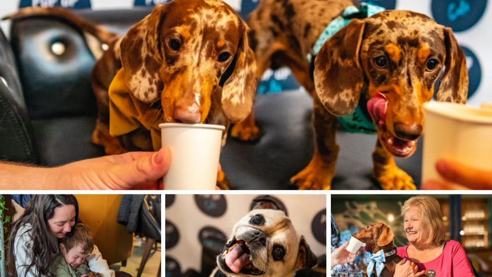 Southend to welcome three ‘Pup Up’ Cafe events for dogs