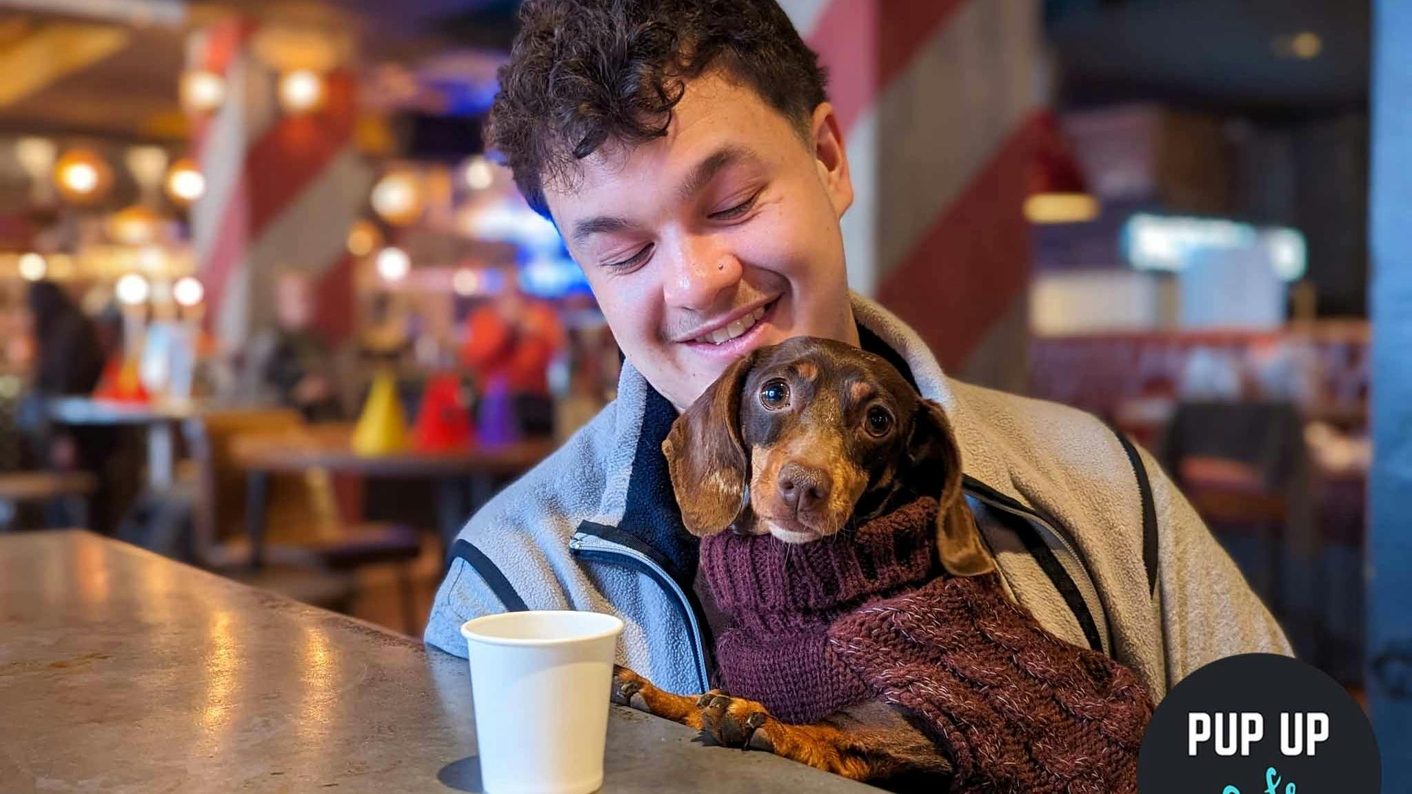 A sausage dog cafe with hundreds of cute dachshund puppies is coming to Manchester