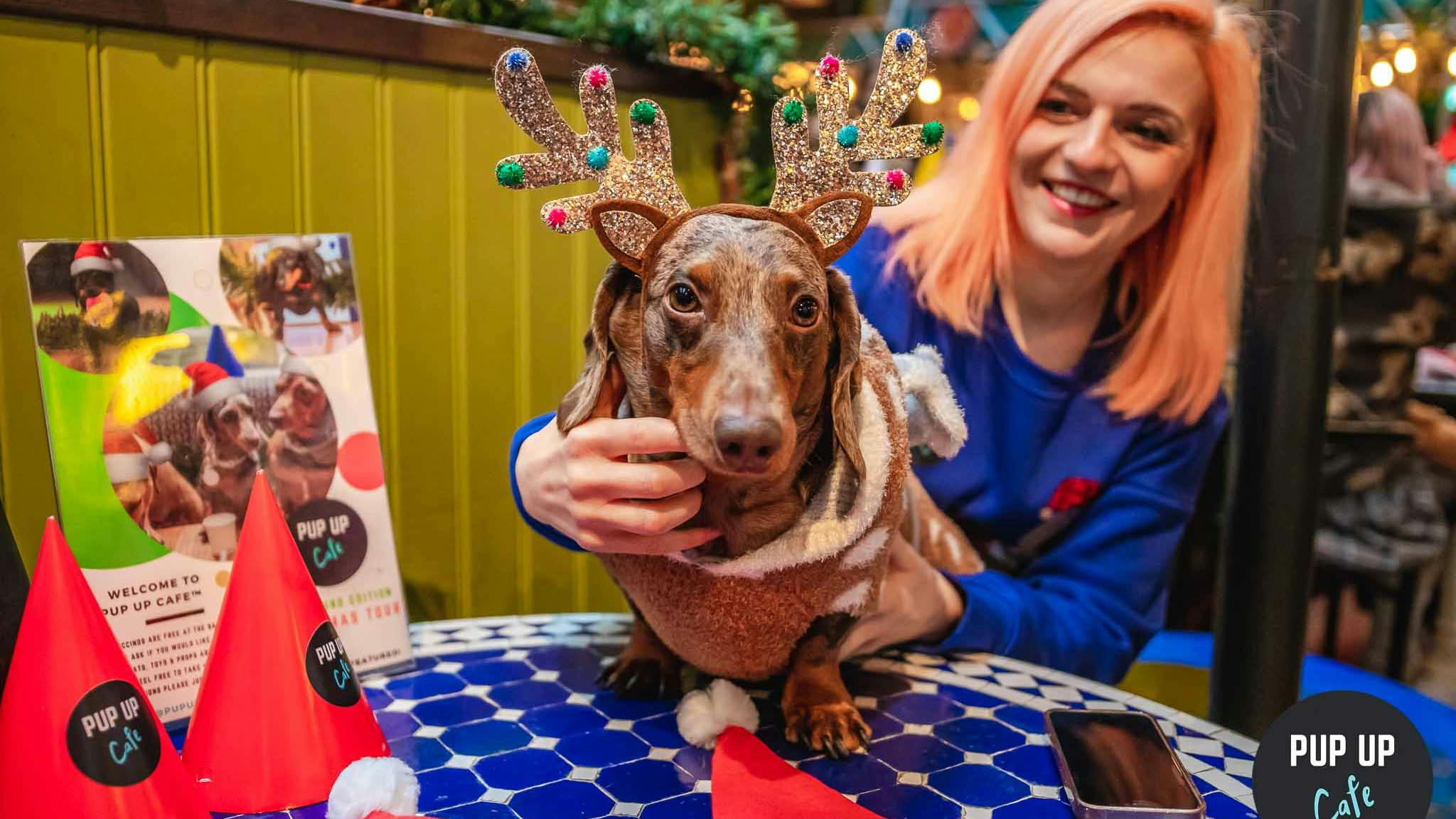 The Dashing Dachshund Christmas Tour Is Coming To Manchester For One Day Only