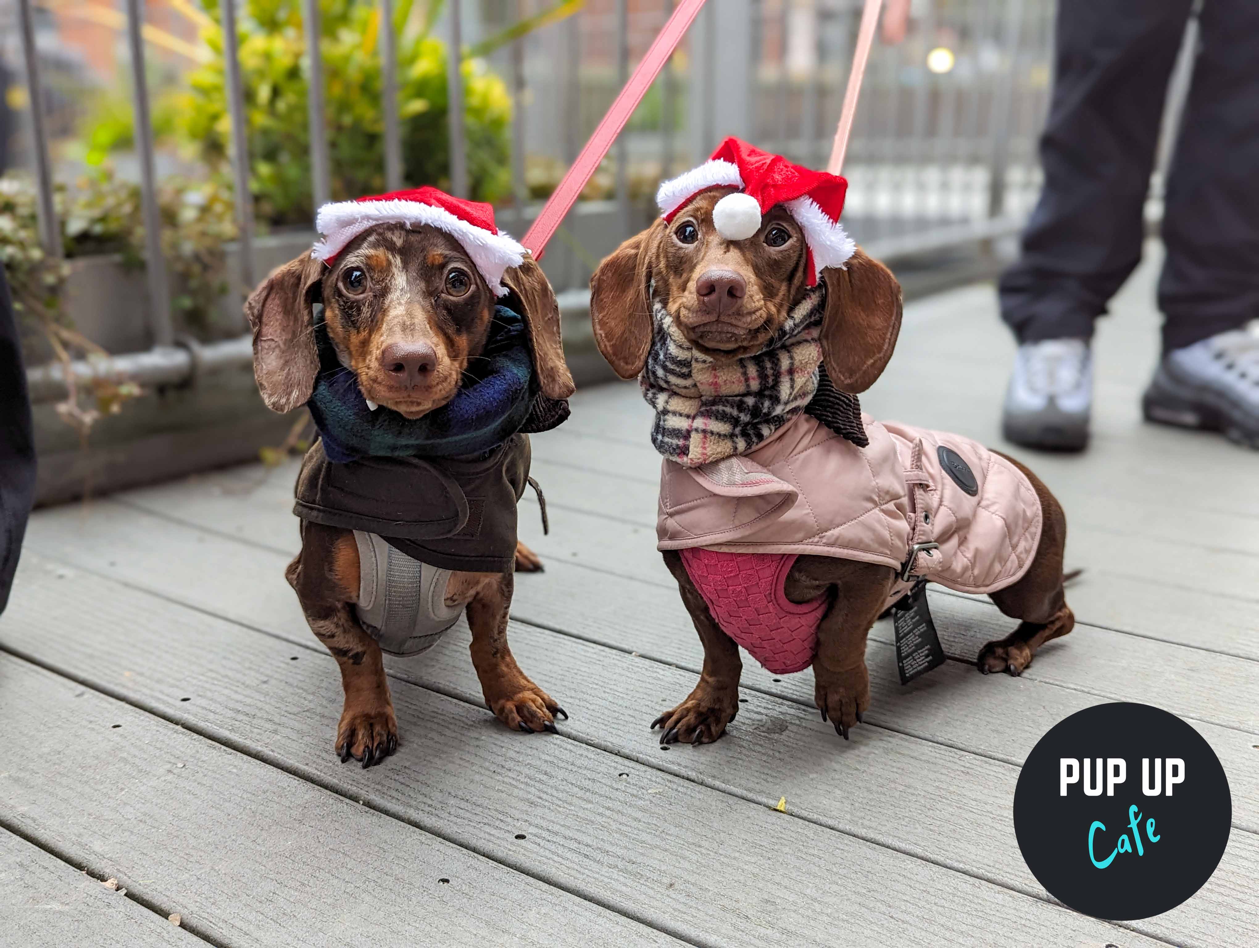 Sausage dog sale xmas jumper