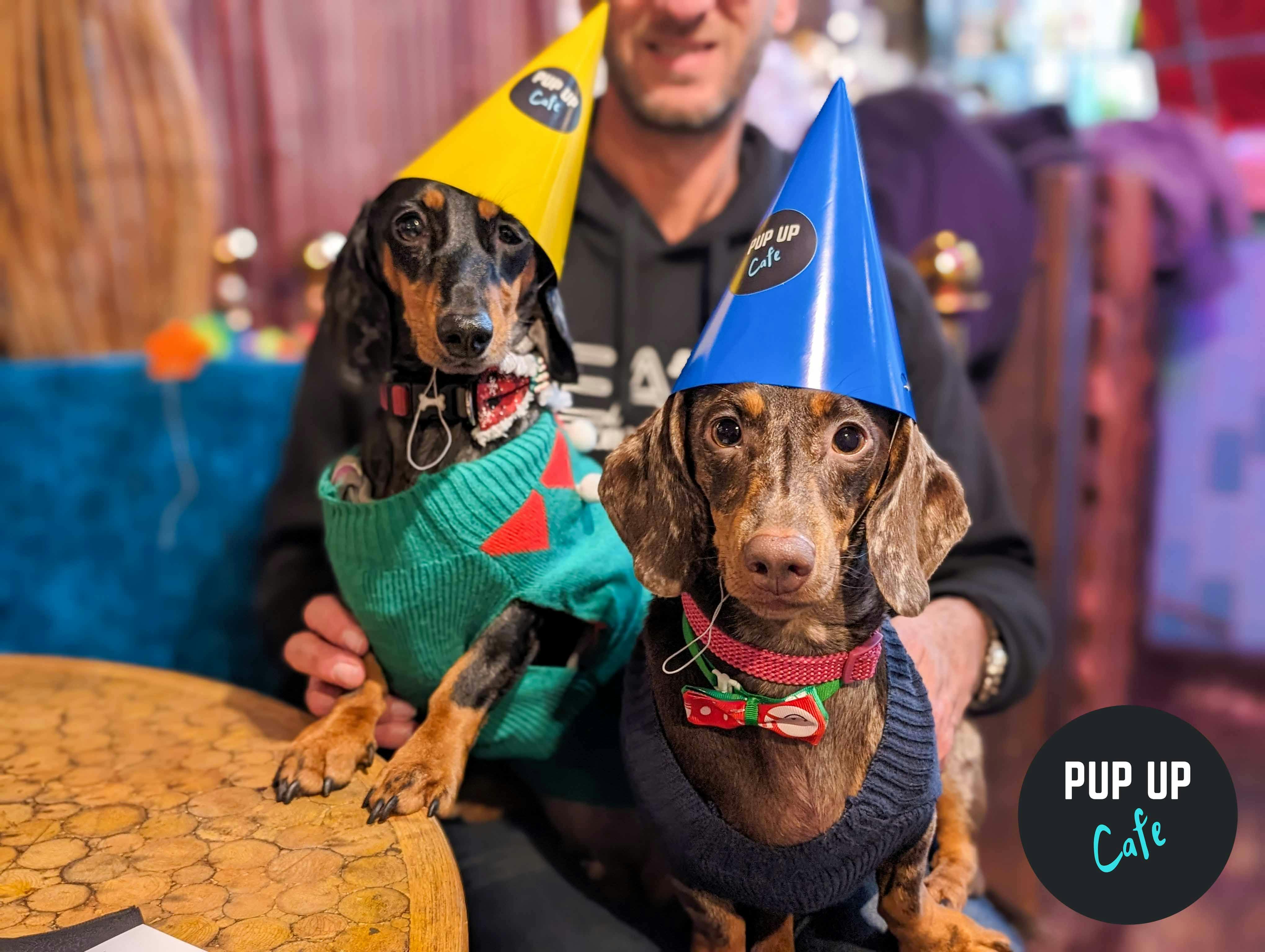 Pup-Up Cafe coming to Southend city centre Revolution