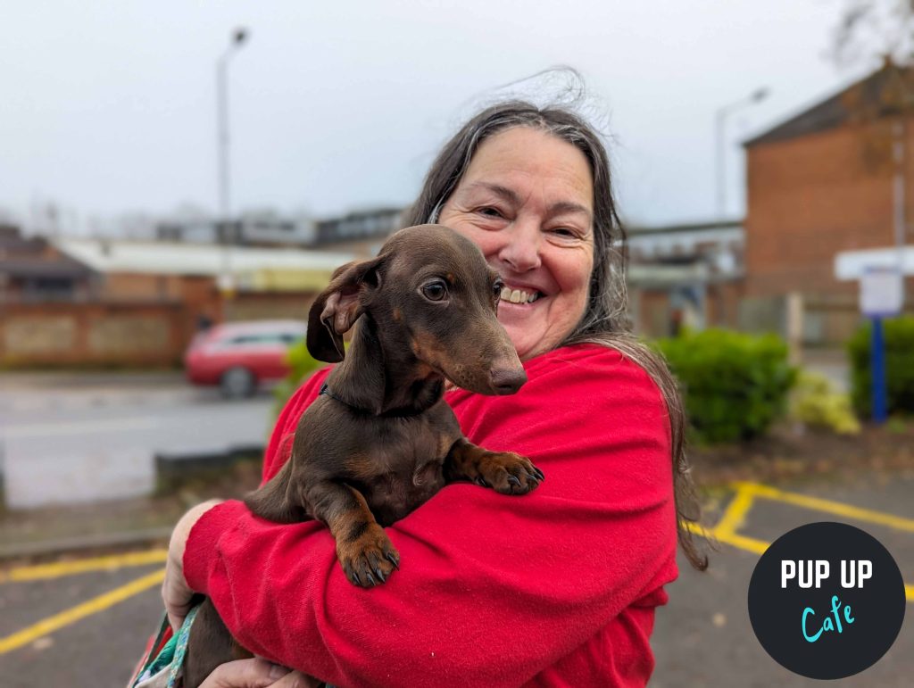 Pup Up Cafe Photos of sausage dog cafe at Revolution in Beaconsfield