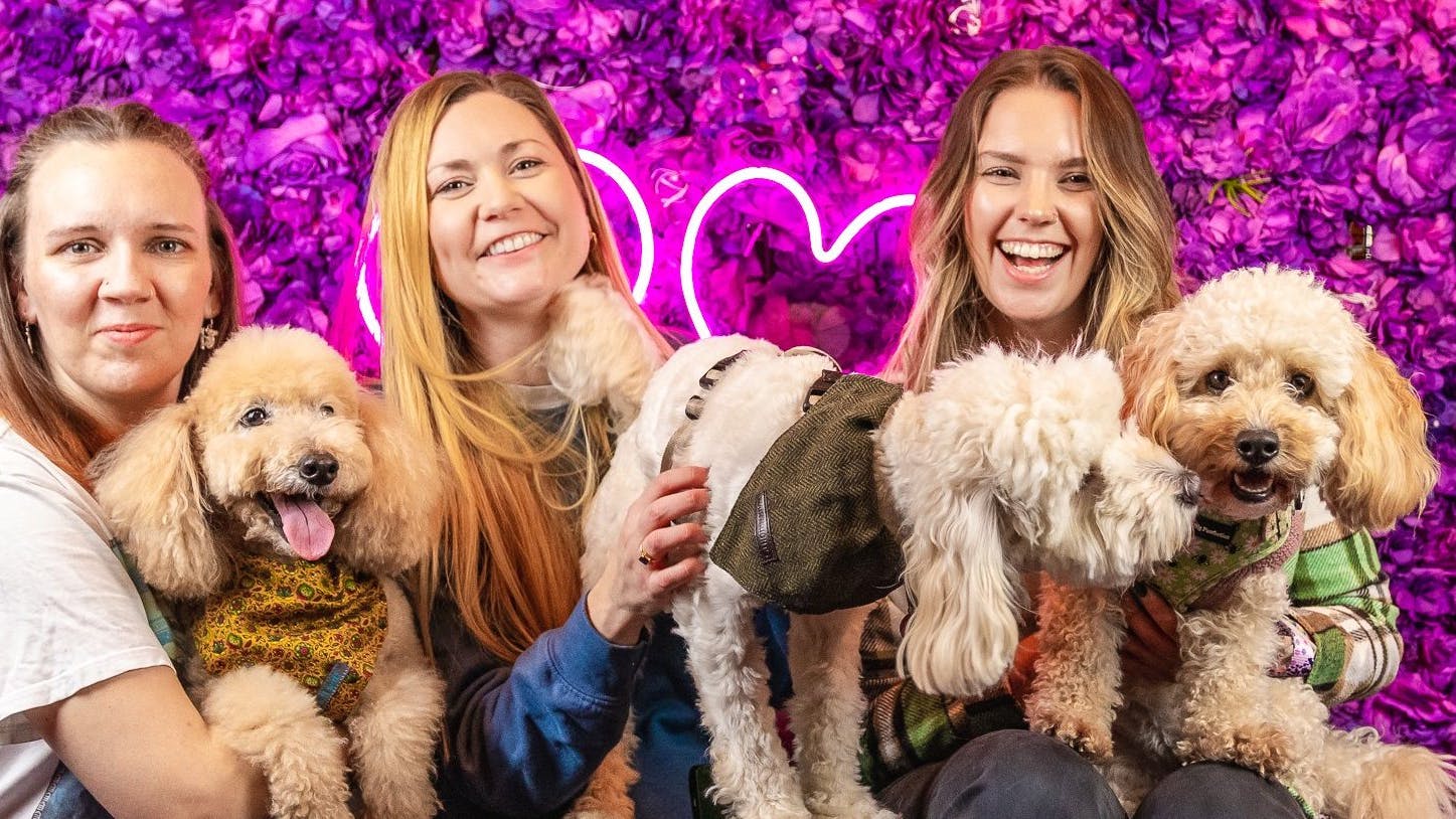 Pup Up Cafe: A Valentine’s Themed Event for Dog Lovers and Their Pets