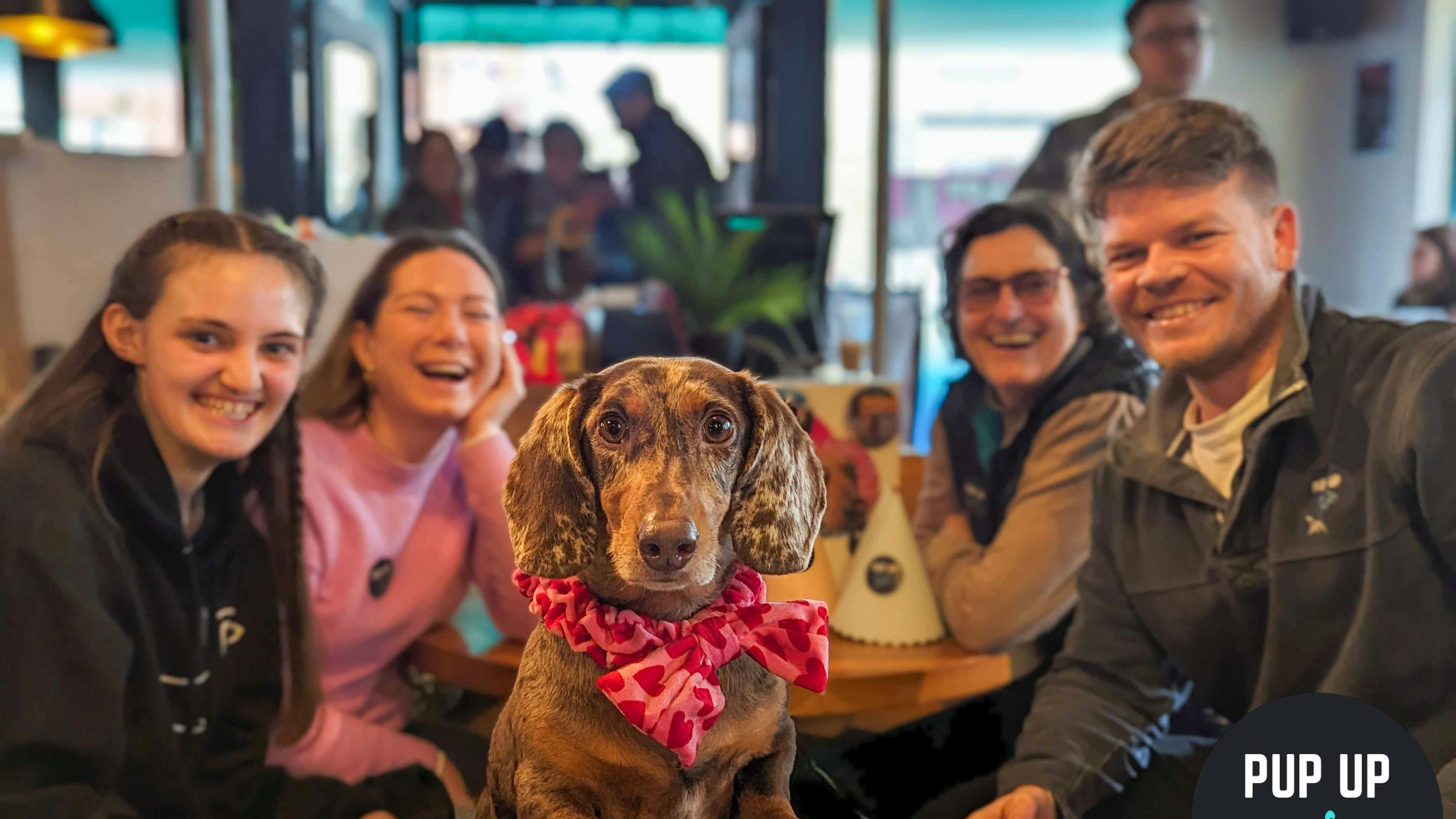 A Sausage Dog Pup-Up Cafe Is Coming To Manchester
