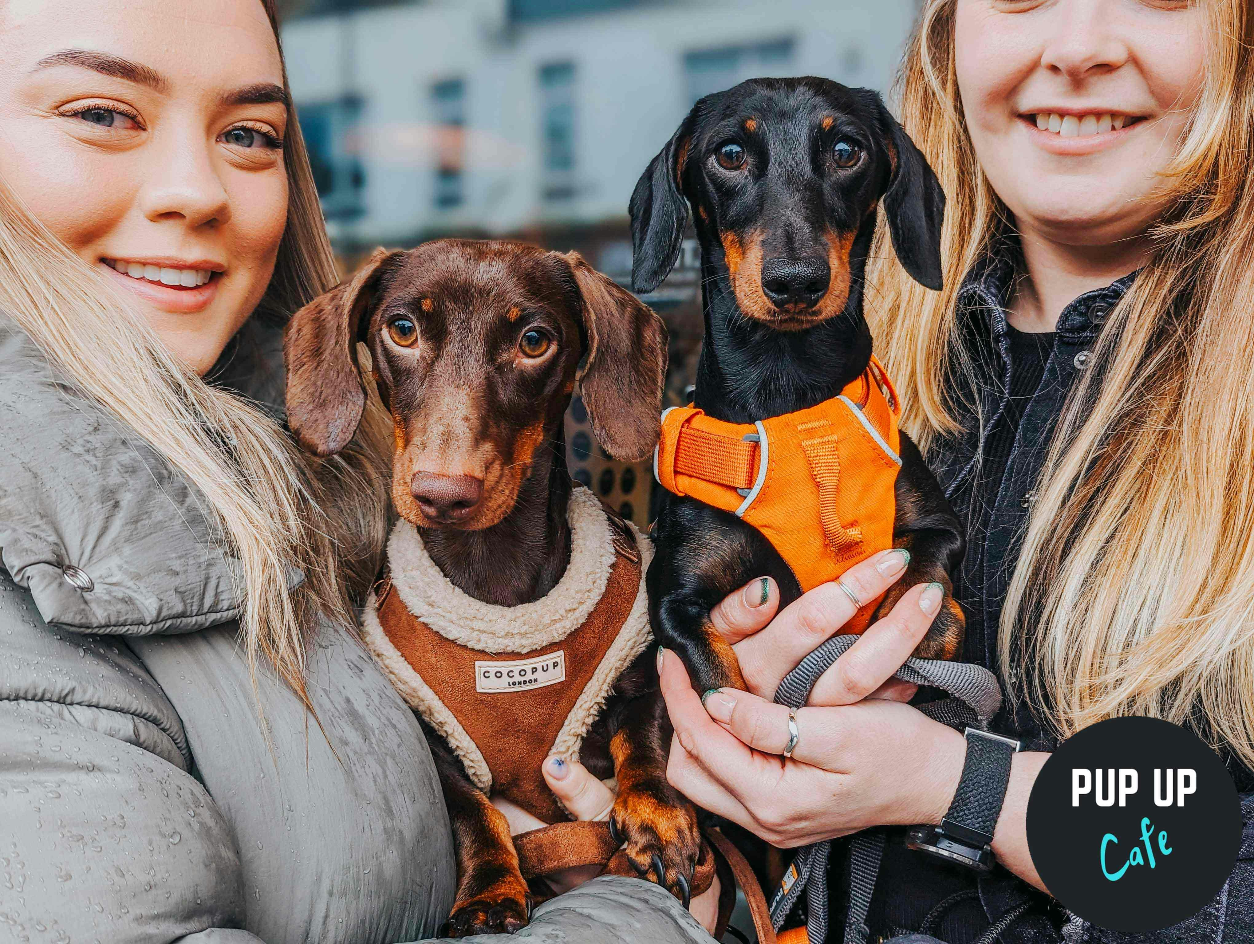Dog lovers flock to special pup-up café in Southend city centre