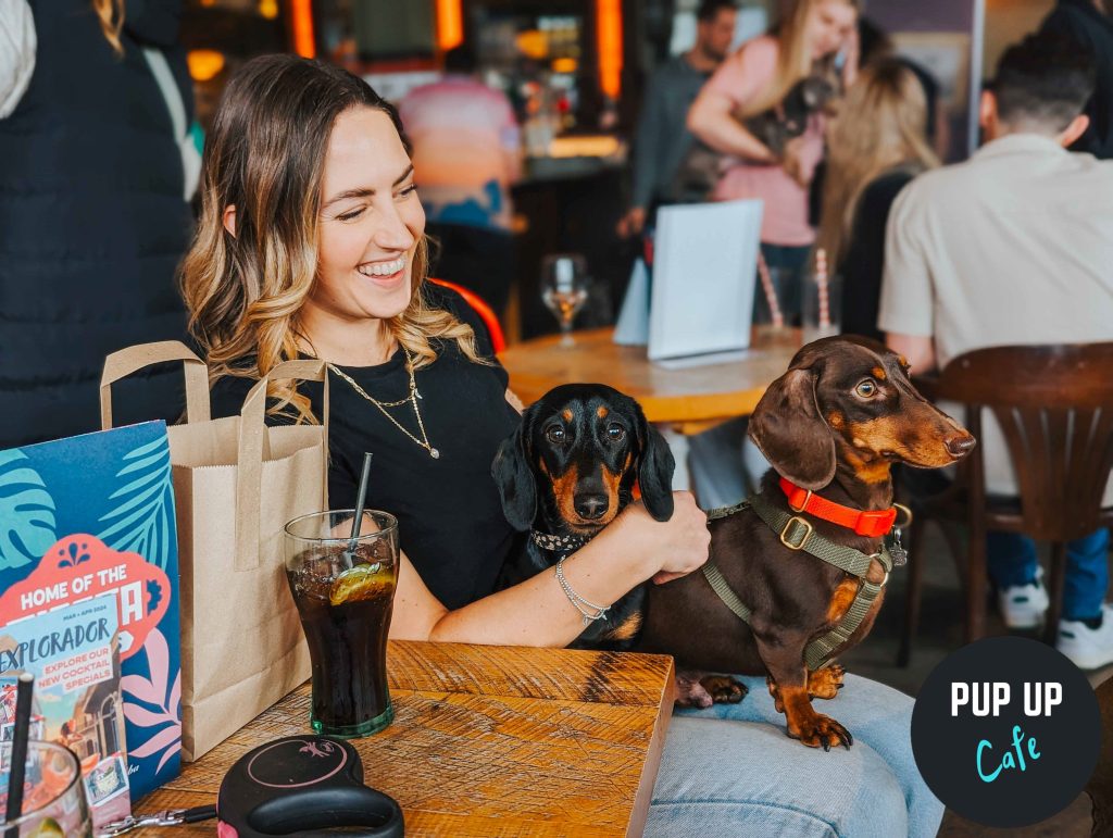 Pup Up Cafe | A Dachshund pop-up cafe is coming to Glasgow next month