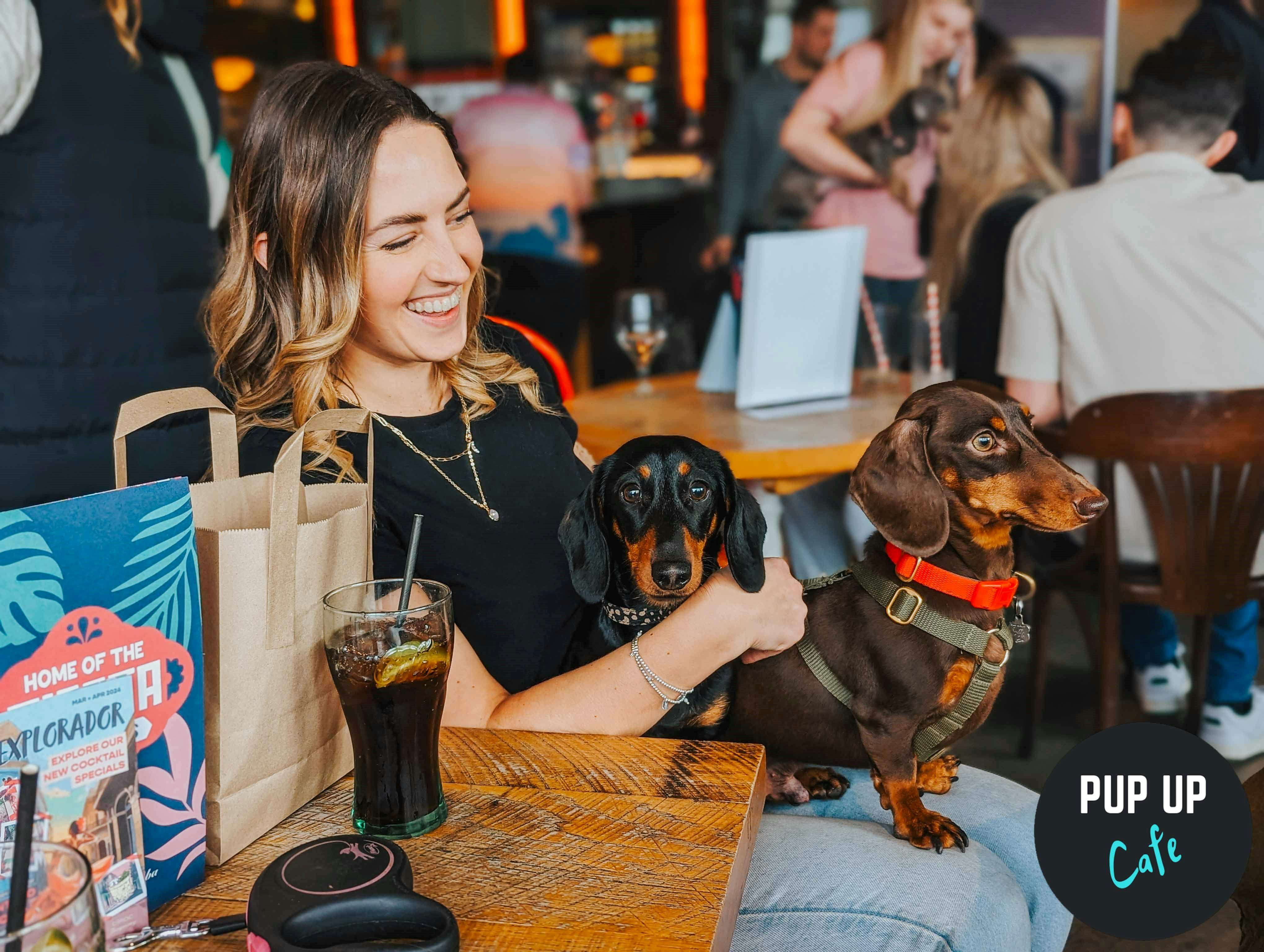 A Dachshund pop-up cafe is coming to Glasgow next month