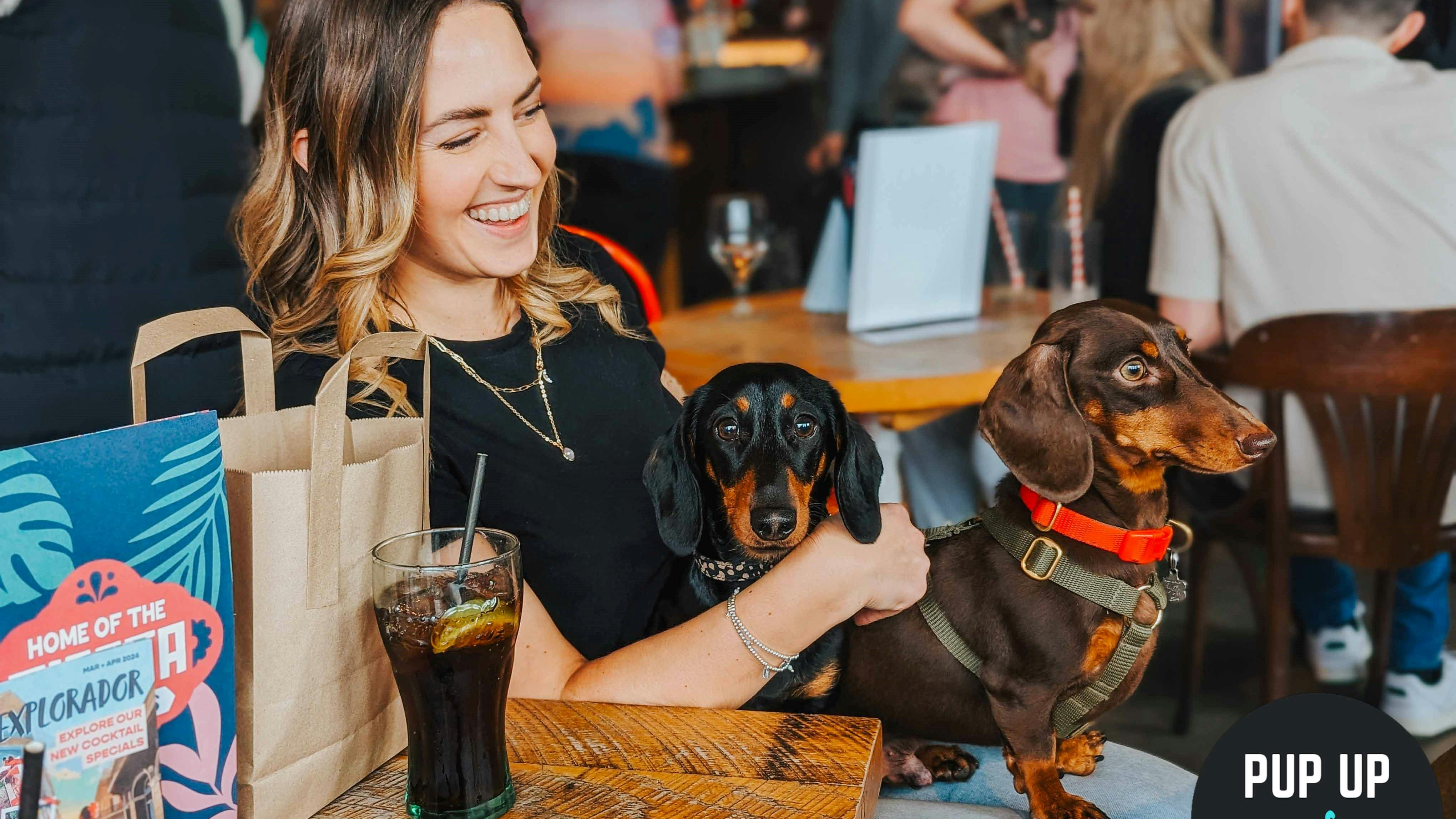 A Dachshund pop-up cafe is coming to Glasgow next month
