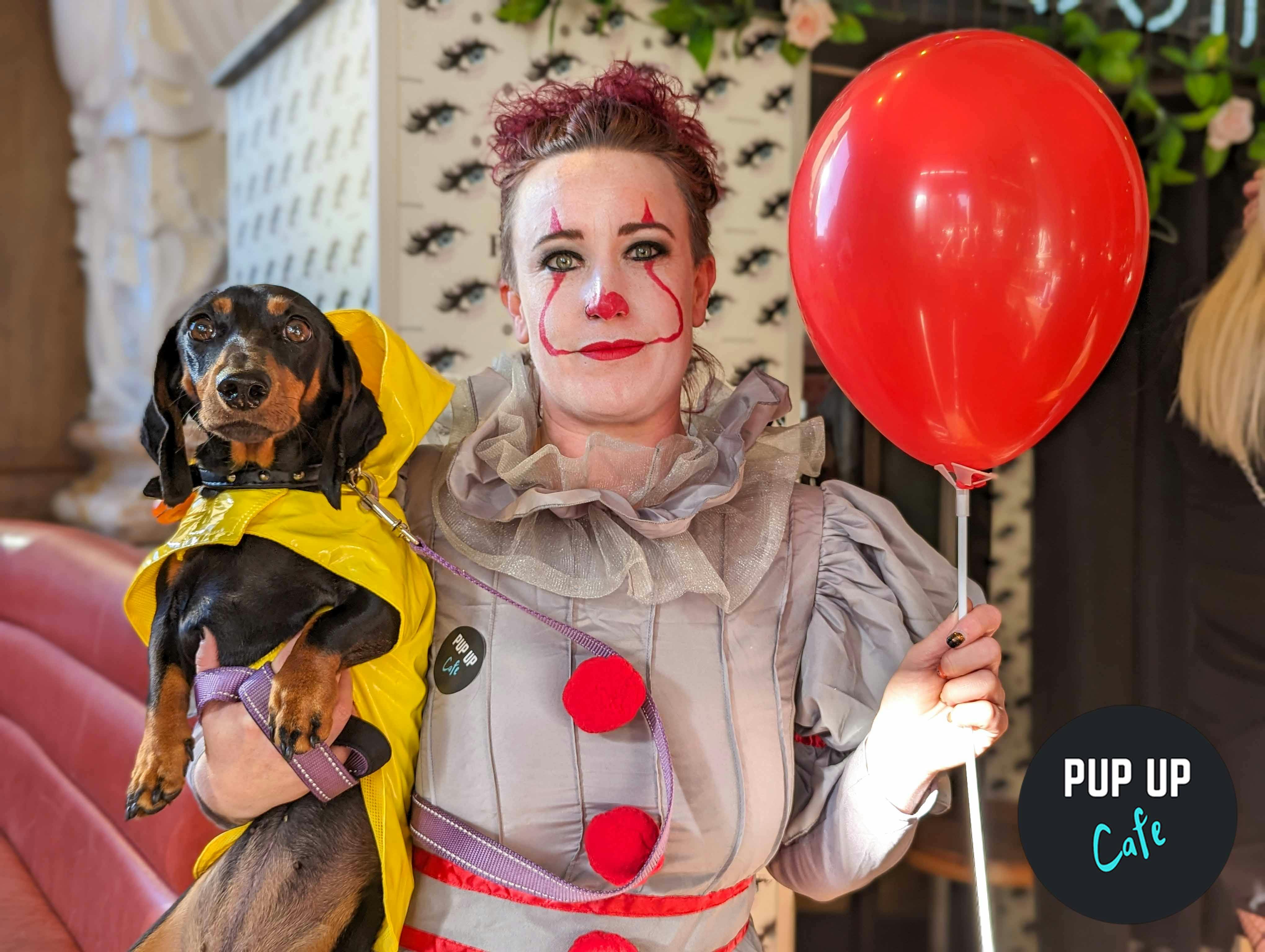 Pup Up Cafe returns to Stafford for Halloween special