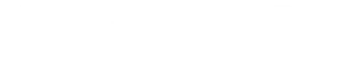 York Parties Logo