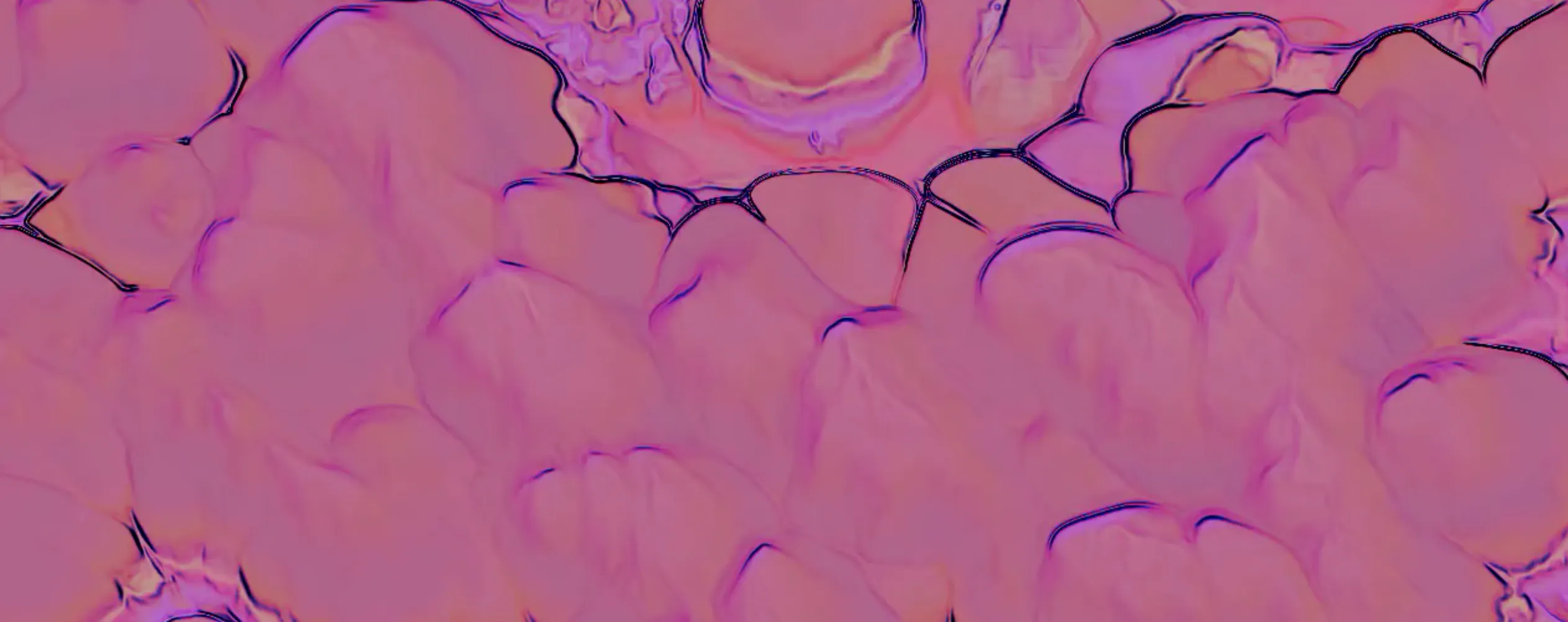 Background Video Placeholder
