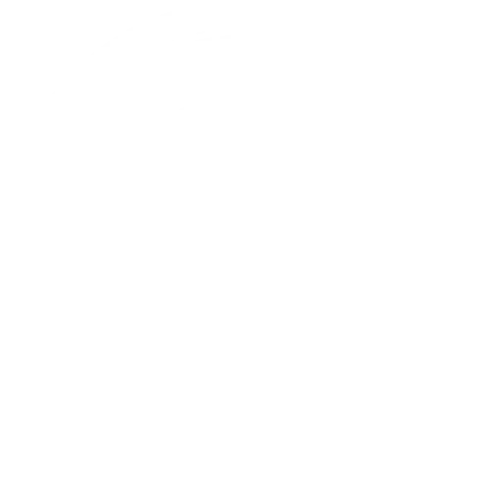 Cirque Du Soul Tickets Logo