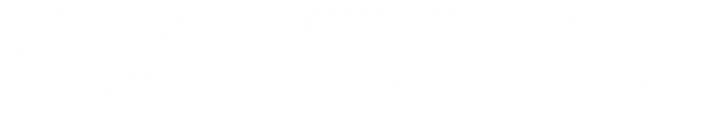 Codec Logo