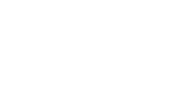 Outer Waves Festival Logo