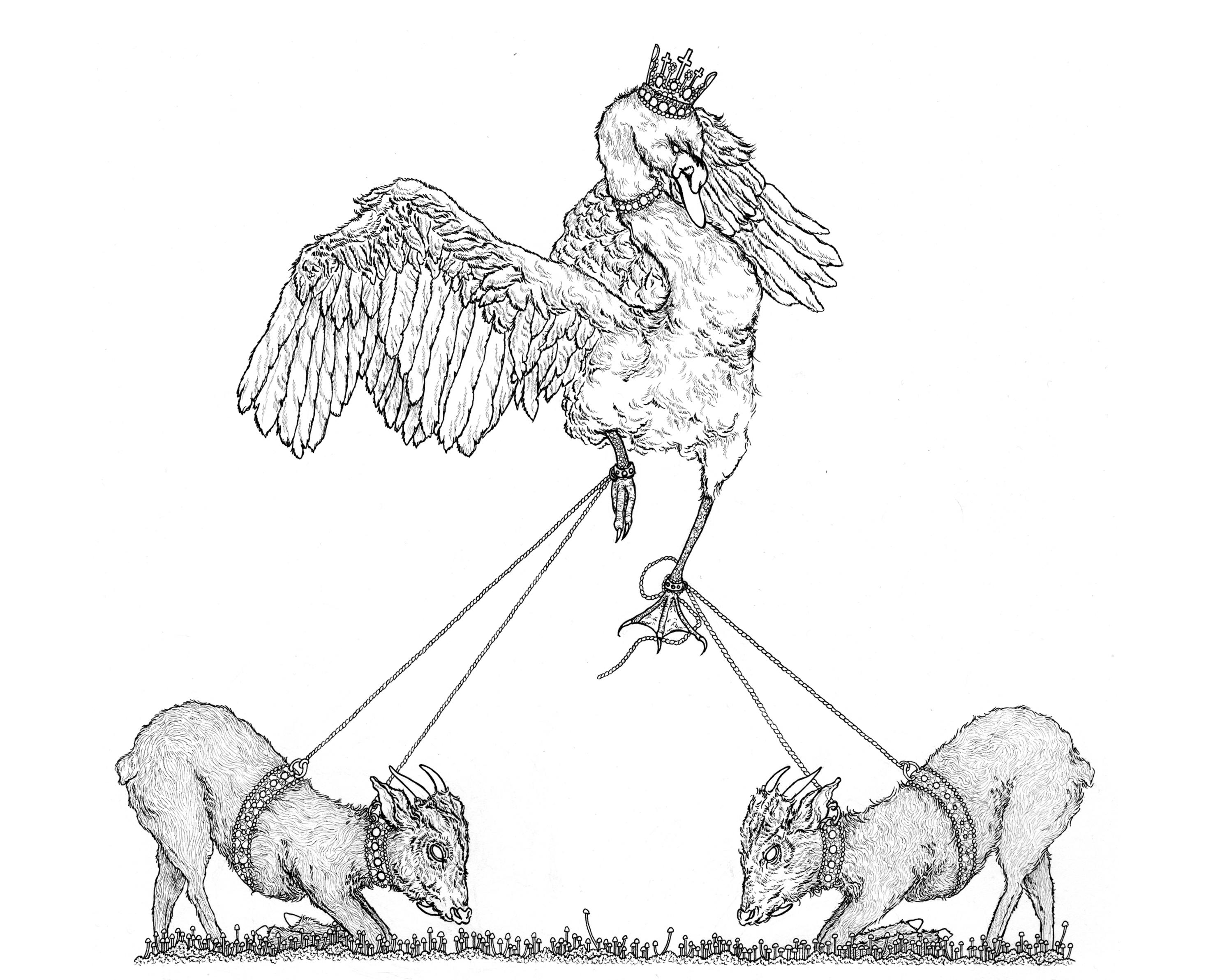 The Miracle of St. Ove – Adam Killip