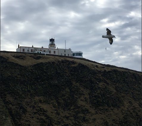 Foghorn files #3: Birds Fall In The Lighthouse Beam Like Snow – Jennifer Lucy Allan