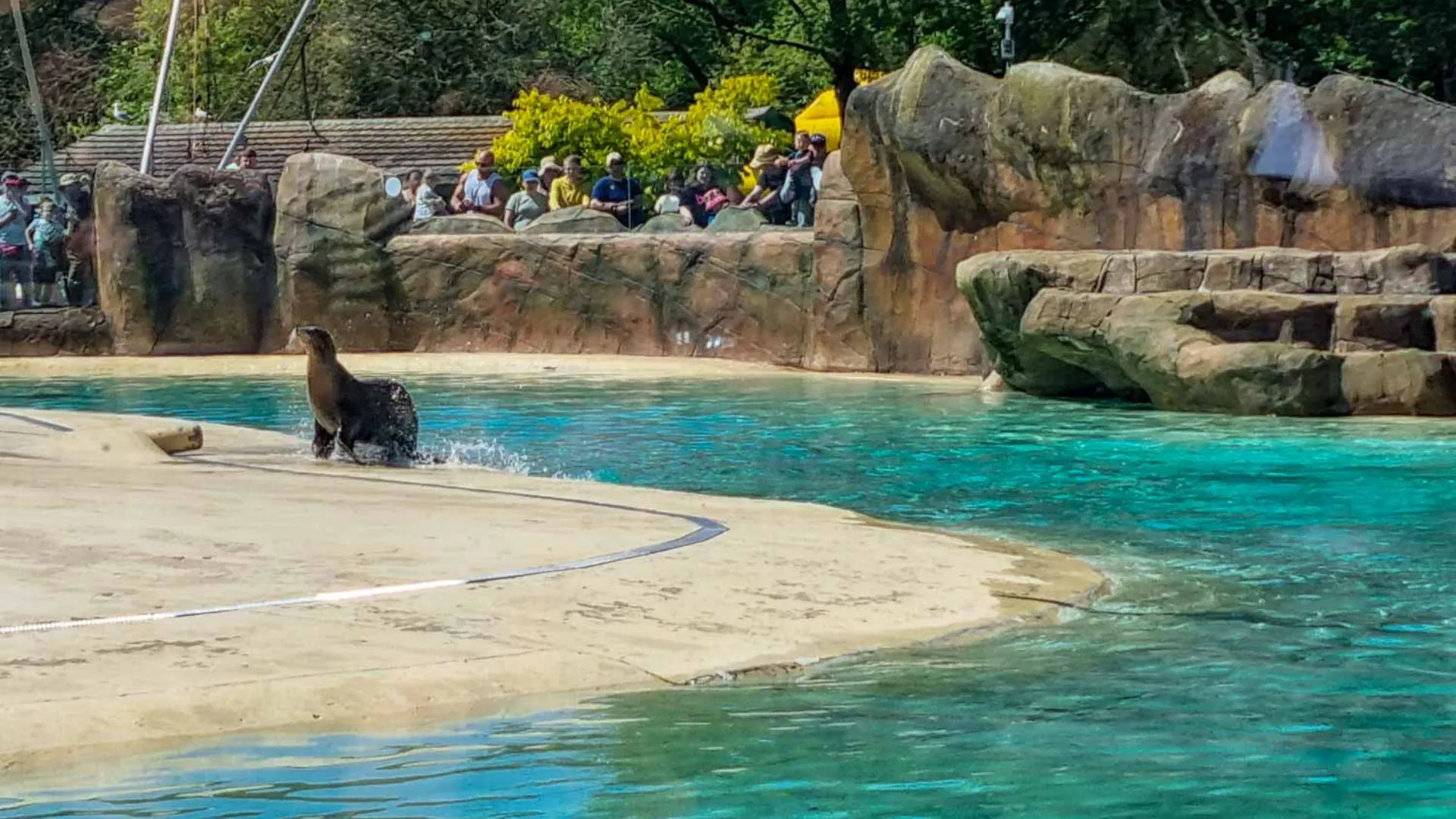 Blackpool Zoo