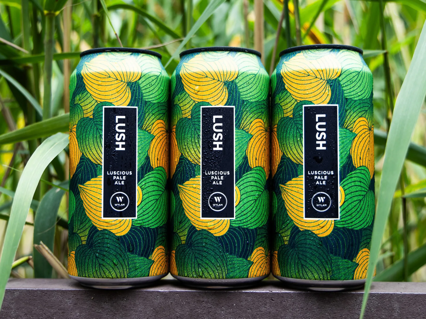 Wylam Brewery beers