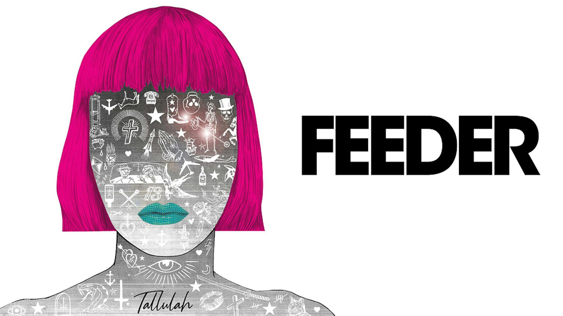 Feeder