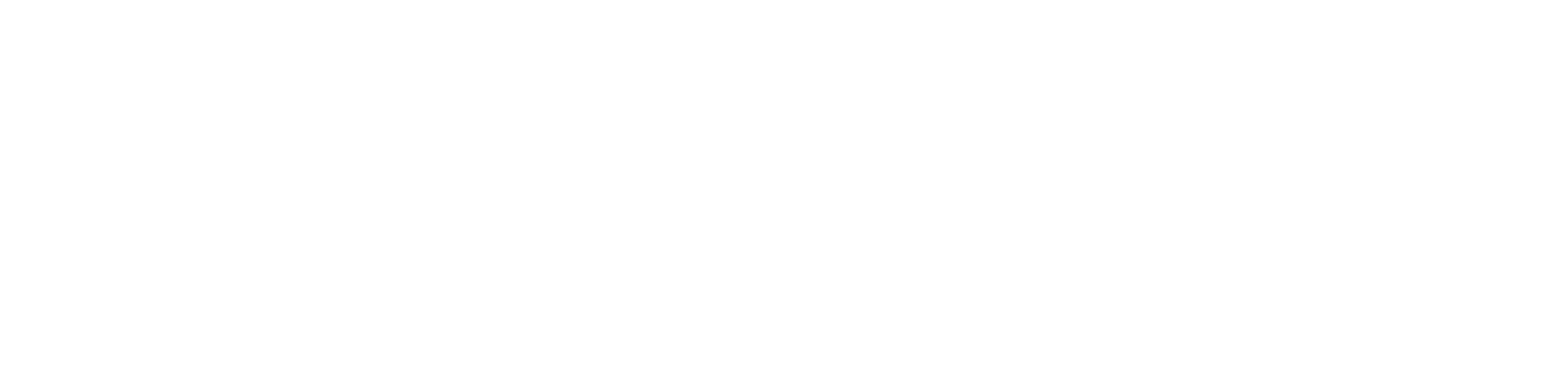 Electrik Warehouse Logo