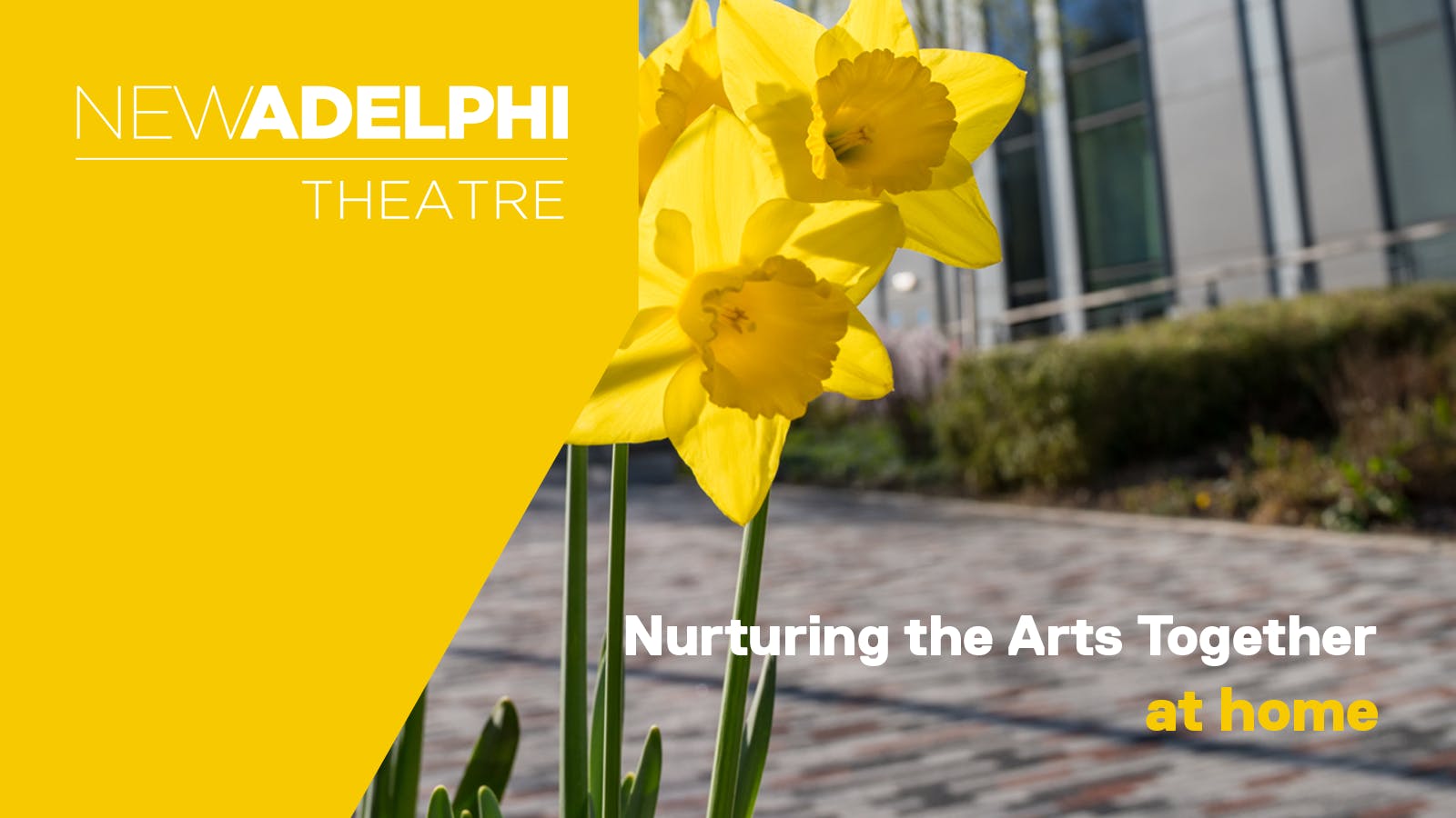 Blog: Nurturing the Arts Together at Home #3 - New Adelphi Theatre