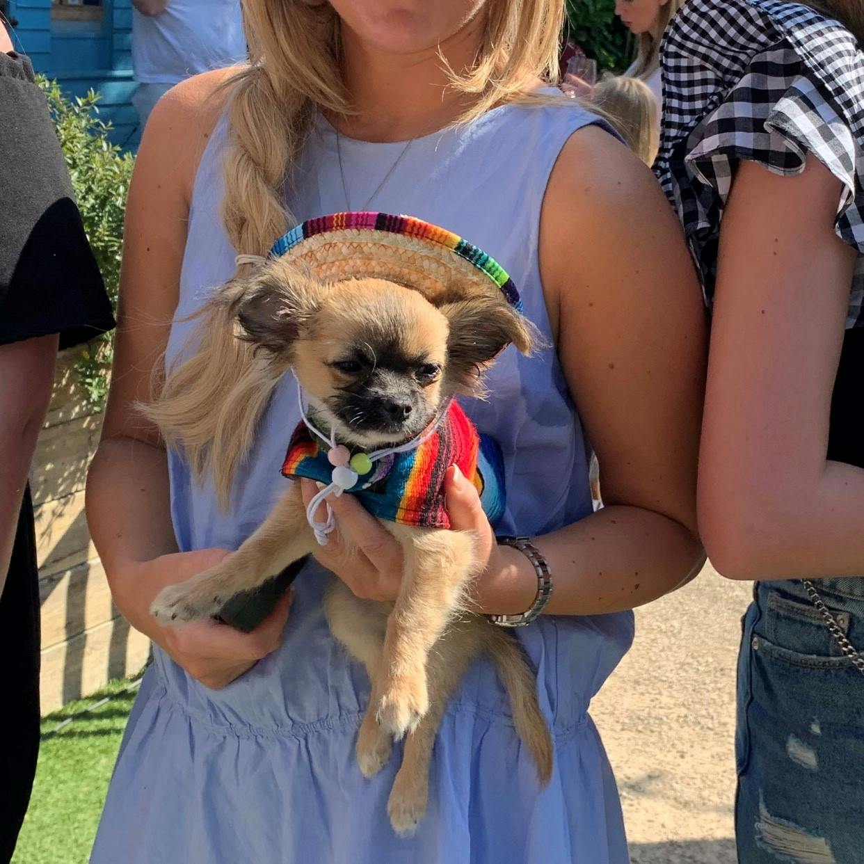 WOOLTON DOG SHOW 2020